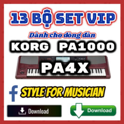 Set Vệt Nam Korg Pa700-Pa4x Keyboard - 14 Bộ Set Vip Dành Cho Organ Korg Pa700 - Download