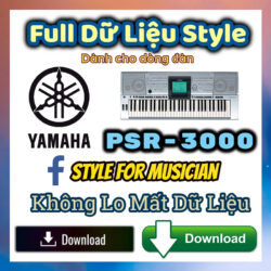 Style Voice Yamaha Keyboard PSR-3000 Vietnamese - Full Dữ Liệu Nhạc Công A5000 Yamaha Keyboard Download