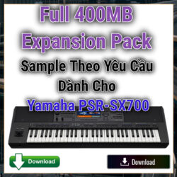 Vietnamese Expansion Pack Sample Yamaha PSR-SX700 - 1 Bộ Sample Theo Yêu Cầu Yamaha PSR SX700 Download