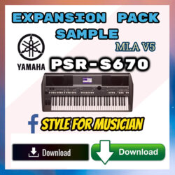 Bộ Sample MLA-V5 Yamaha PSR-S670 Keyboard - Nhạc Công Việt Nam Yamaha Download