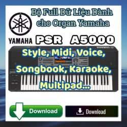 Style Voice Yamaha Keyboard PSR-A5000 Vietnamese - Full Dữ Liệu Nhạc Công A5000 Yamaha Keyboard Download