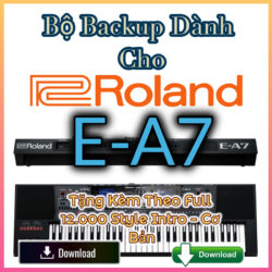 Backup Roland E-A7 Keyboard Download Vietnamese Nhạc Công