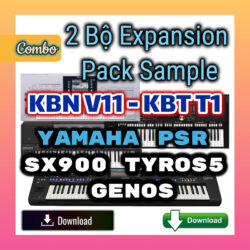 Expansion Pack KBN-V11 KBT-T1 Yamaha Keyboard Dành Cho Yamaha PSR-SX900 Tyros 5 Genos - Download