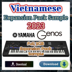 Vietnamese Expansion Pack Sample Yamaha Genos Keyboard Full 3GB 2023 - Download