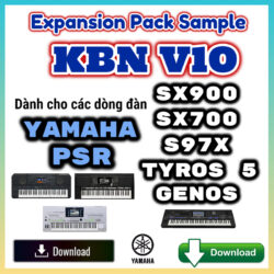 Expansion Pack Sample KBN V10 Yamaha PSR SX900 SX700 S970 S975 A3000 Tyros 5 Genos - Download