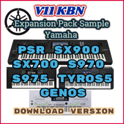 Expansion Pack Sample KBN V11 Yamaha PSR SX900 SX700 S970 S975 A3000 Tyros 5 Genos - Download