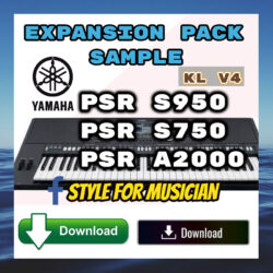 Bộ Sample KL V4 Dành Cho Các Dòng Đàn Yamaha PSR-S750 S950 A2000 - Download Hoặc Vận Chuyển USB