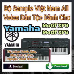 All Voice Vietnamese Yamaha Motif-XF8-XF6 Download Bộ Sample Việt Nam All Voice Dân Tộc Dành Cho Yamaha Motif-XF8-XF6 - Download