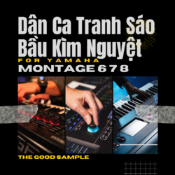 Sample Dân Ca Library - Tranh Sáo Bầu Kìm for Yamaha Montage 6 7 8 Download